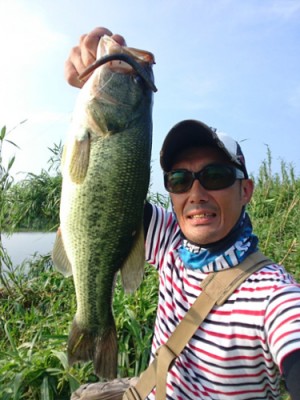 LOVE Fish | IMAKATSU