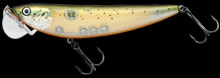hit lure