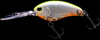 hit lure