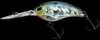 hit lure