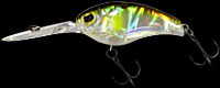 hit lure