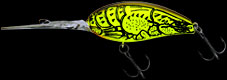 hit lure