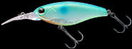 hit lure