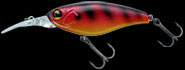 hit lure