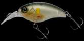 hit lure