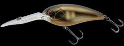 hit lure