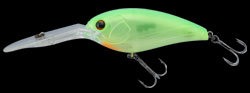hit lure