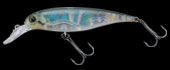 hit lure