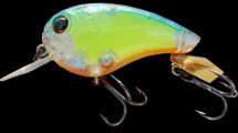 hit lure