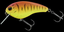 hit lure