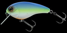 hit lure
