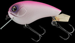 hit lure