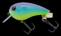 hit lure