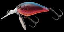 hit lure