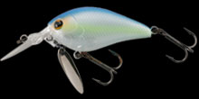 hit lure