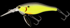 hit lure