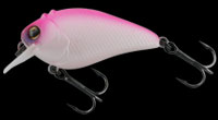 hit lure