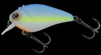 hit lure