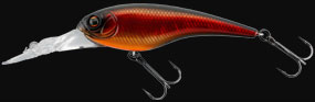 hit lure
