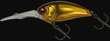 hit lure