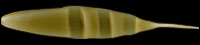 hit lure