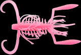 hit lure