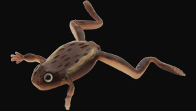 hit lure