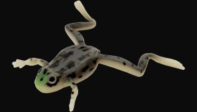 hit lure