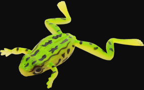 hit lure