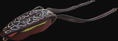 hit lure