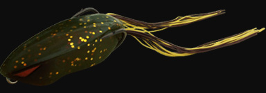 hit lure