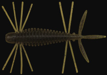 hit lure