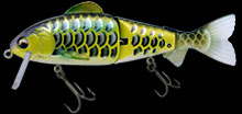 hit lure