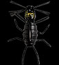 BABY SPIDER@#S-60 Black Spider