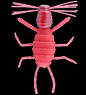 BABY SPIDER@#S-140 HV Attractor Pink