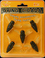 DYING CICADA