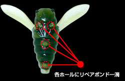 各ホールにリペアボンド一滴