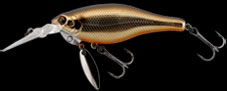 Do-No Shad@#111 Stain Gold
