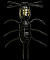 Fujin Spider #S-60 Black Spider