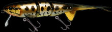 ハスキーハスジー　#24 雷魚