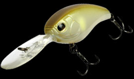 IMAKATSU I-ARROW 50 F NEW - KKJAPANLURE