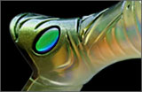 An original eye design and its form make creature like appeal bass has never seen before.