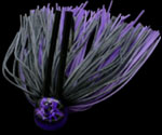 RV JIG (3.5g, 5g, 7g)@#RF-03 Black Purple